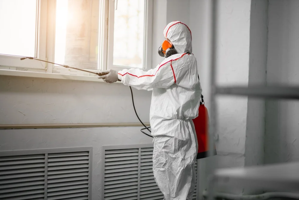 Professional mold remediation services in Duncan, SC